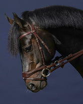 Dy'on New English Collection D Motion Bridle